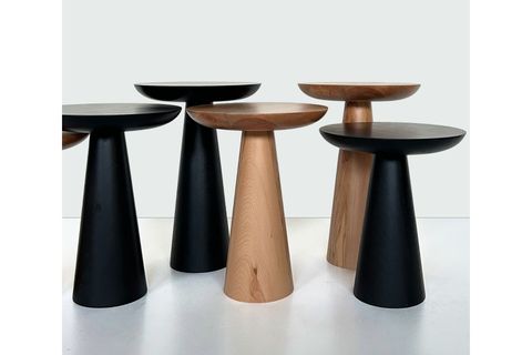 ZİGON MANTAR SEHPA MUSHROOM, İKİLİ, KAYIN