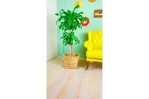 BİTKİ TASARIMI SELE SEPET, KULPLU, XL