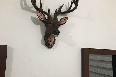 BÜYÜK BOY GEYİK DUVAR DEKORU