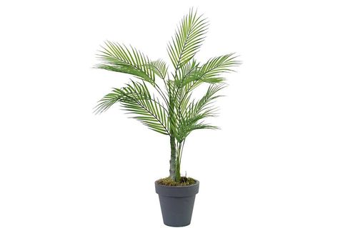 YAPAY İKİLİ PALM AĞACI, 70 CM