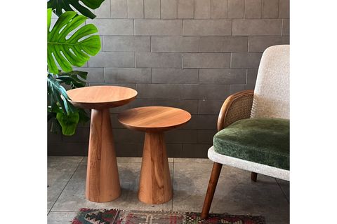 ZİGON MANTAR SEHPA MUSHROOM, İKİLİ, KAYIN