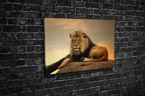 TABLO360 ASLAN KANVAS TABLO 80X120