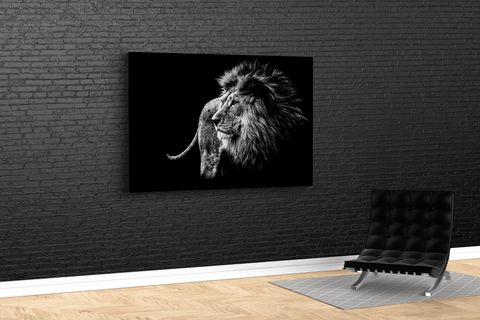 TABLO360 ASLAN KANVAS TABLO, 80X120