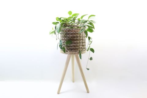 JÜT ÖRGÜ HASIR AHŞAP SAKSILIK, NATUREL, 22 CM