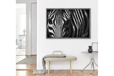 ÇERÇEVELİ ZEBRA EYE 2 PARILTILI TABLO