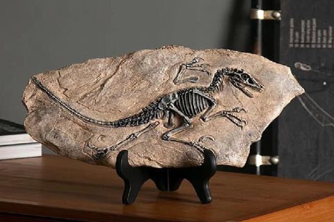 VİNTAGE T REX DİNOZOR FOSİL DEKOR