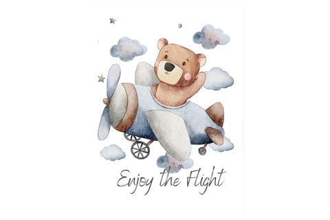 FLY FRANK RAY KANVAS TABLO