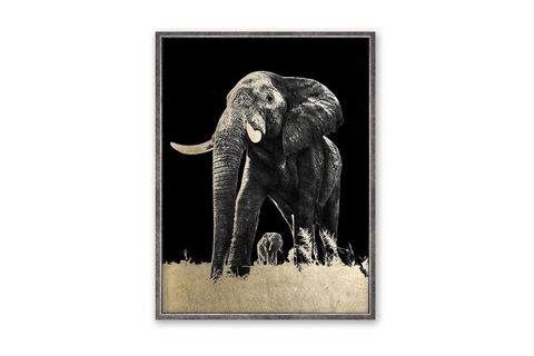 ÇERÇEVELİ SİLVER FRAMED ELEPHANT ON GRASS PARILTILI TABLO