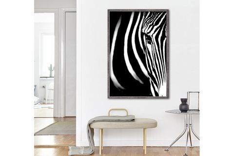ÇERÇEVELİ ZEBRA EYE 1 PARILTILI TABLO