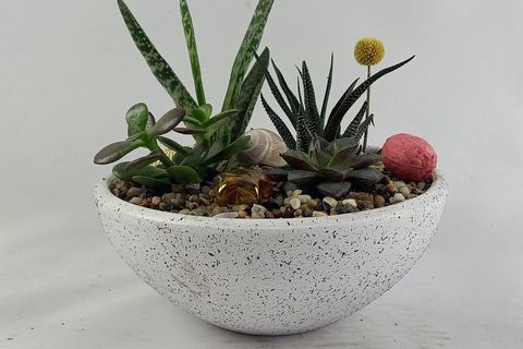 SUKULENT ARANJMAN NO 5