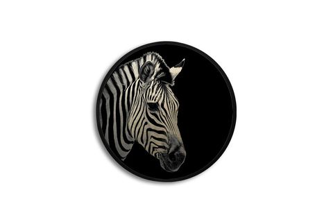 METAL ÇERÇEVELİ CİRCLE FRAMED ZEBRA EYE 2 PARILTILI TABLO