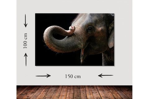 ELEPHANT DEV BOYUT KANVAS TABLO