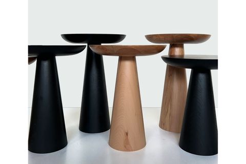 TEKLİ ZİGON MANTAR SEHPA MUSHROOM, KAYIN