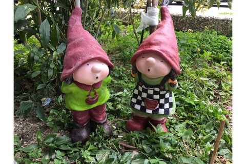 DÖRDÜZ CÜCE KARDEŞLER