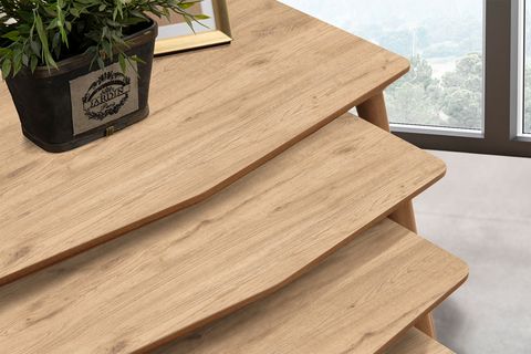 VEGA DÖRTLÜ ZİGON ORTA SEHPA SETİ, MEŞE