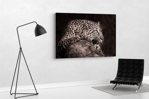 TABLO360 LEOPAR KANVAS TABLO 80X120