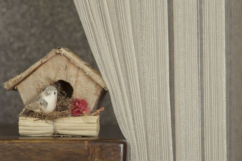 MASSARELLİ ÇİZGİLİ TÜL BEJ PİLESİZ 150X260