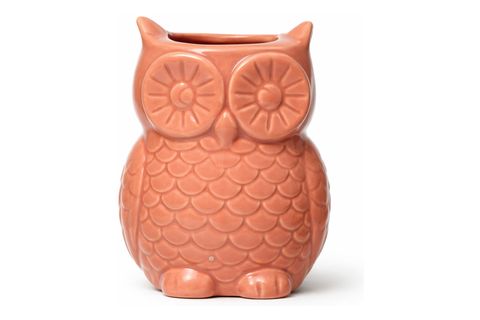 MIKNATISLI MİNİ BAYKUŞ SAKSI, PEMBE