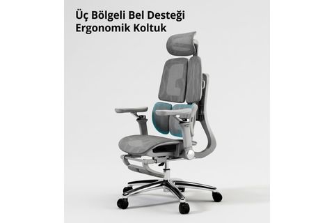 GUSTO 6D OYUNCU, YÖNETİCİ, ÇALIŞMA KOLTUĞU, GRİ