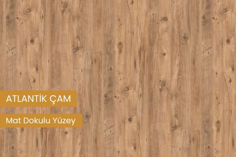RUDA BANYO DOLABI, ATLANTİK ÇAM, İKİ KAPAKLI