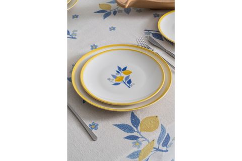 LEMON 6 LI PASTA TABAĞI SETİ