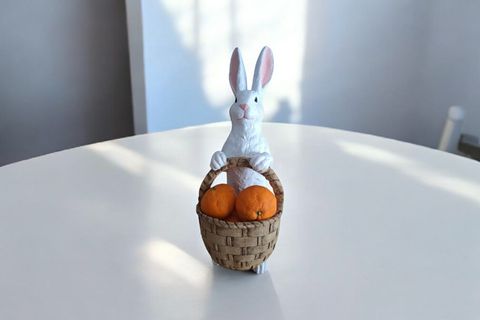 SEPETLİ TAVŞAN BİBLO