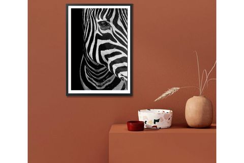 BUDDY ZEBRA BASKILI POSTER TABLO, SİYAH ÇERÇEVE, 50X70