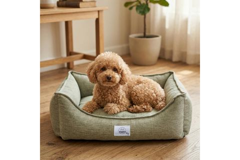 VANILLA KÖPEK YATAĞI A.YEŞİL XL BEDEN 75X95X22