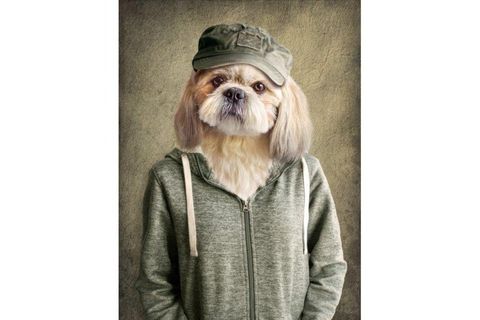 DOG KANVAS TABLO HAPO 104 50X70