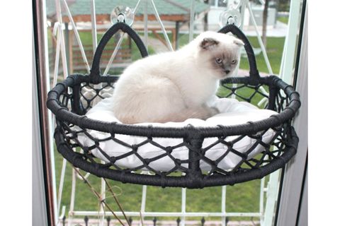 CEDRİC KEDİ CAM ASKILI VANTUZLU KEDİ YATAĞI, ANTRASİT