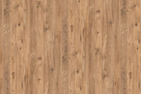 KUMSAL ORTA SEHPA, ATLANTİK ÇAM