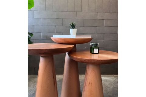 ZİGON MANTAR SEHPA MUSHROOM, ÜÇLÜ, KAYIN