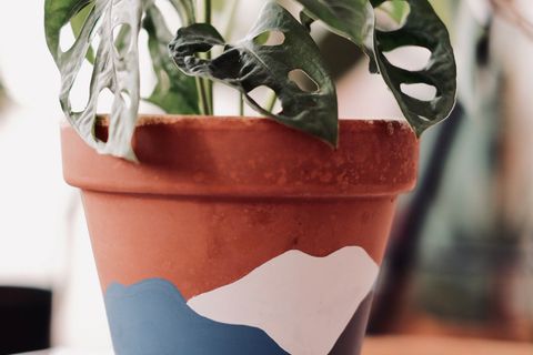 TERRACOTTA SAKSI, MAVİ GRİ