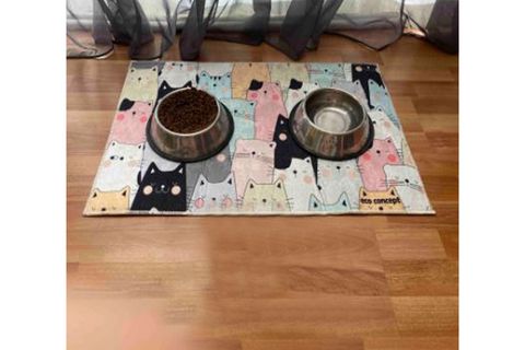 ECO CONCEPT, KEDİ DESENLİ PASPAS, RENKLİ KEDİLER MAMA PASPASI, KEDİ PASPASI, SU MAMA PASPASI 45X70 CD01