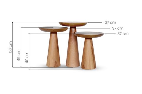 ZİGON MANTAR SEHPA MUSHROOM, ÜÇLÜ, KAYIN