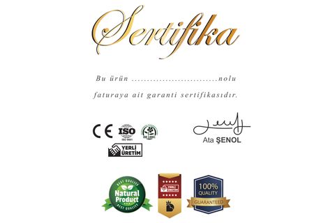 İNSAN VE TOPLUM 05 ALTILI DERİ TABLO