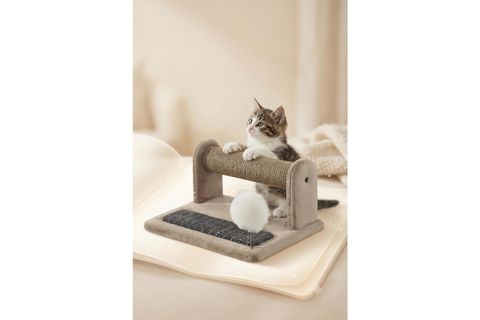 JİMMY KEDİ TIRMALAMA TAHTASI