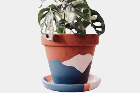 TERRACOTTA SAKSI, MAVİ GRİ