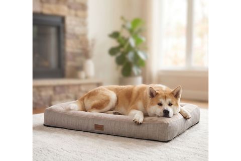 AKİTA KEDİ KÖPEK YATAĞI BEJ, SMALL