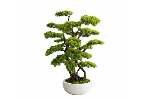 BONSAİ AĞACI, 120 CM