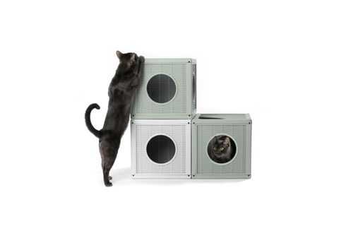 QUBLO KEDİ KÖPEK EVİ