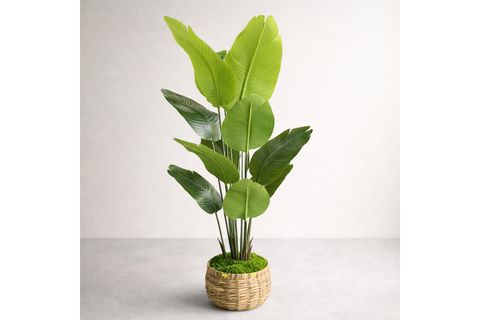 STARLİÇE YAPAY TROPİKAL BİTKİ, 160 CM