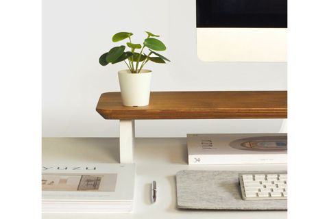 BÜYÜK MONİTÖR STANDI, MEŞE