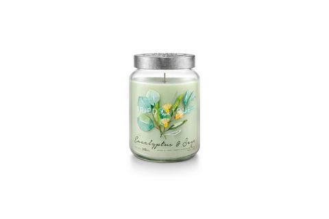 ADAÇAYI KARANFİL TOMURCUĞU KOKULU MUM
