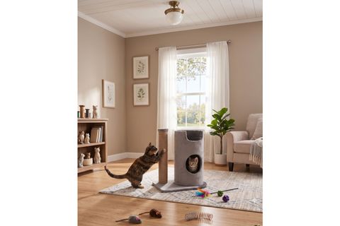 PRENSES KEDİ TIRMALAMA AĞACI