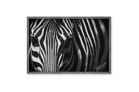 ÇERÇEVELİ ZEBRA EYE 2 PARILTILI TABLO