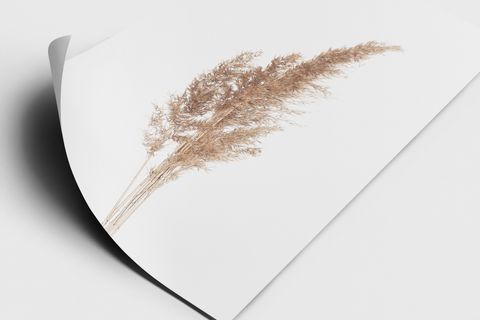 PAMPAS TABLO SETİ, SİYAH ÇERÇEVE TABLO SETİ 33X48