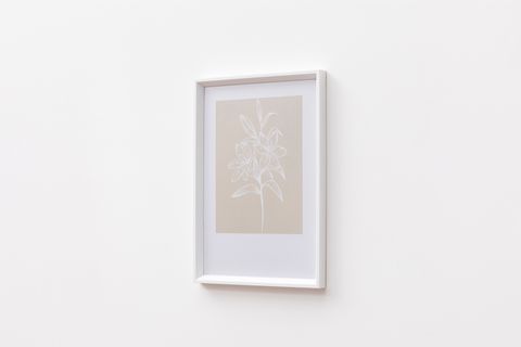 FLORAL Lİ POSTER ÜÇLÜ TABLO SETİ, BEYAZ ÇERÇEVE, 33X48