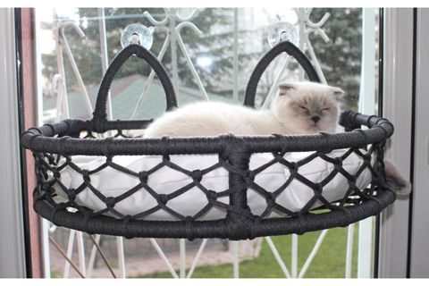 CEDRİC KEDİ CAM ASKILI VANTUZLU KEDİ YATAĞI, ANTRASİT