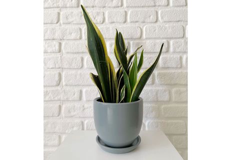ODKA U TİPİ SAKSI TABAKLI 17CM FÜME